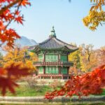 Grupo de Whatsapp de Corea del Sur